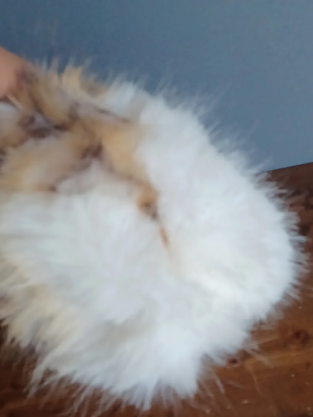 Fluffy ,soft Clutch